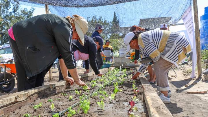SEDIF destina cien mil pesos para poner en marcha un huerto que beneficiará a 15 familias de Nopalucan