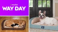 This machine washable Serta dog bed is less than $70 at Wayfair