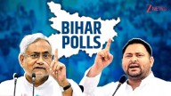 Bihar Election 2025: Survey Reveals Biggest Issues; Youth Take Centerstage As Poll Dates Announced