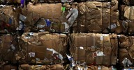 Local hauling company sues Walgreens for over $350,000