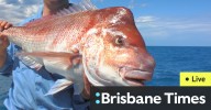 WA news LIVE: Tougher restrictions on cards for WA demersal fishers; Alarming rise in pedestrian deaths in Perth; WA local government election results; Family offers reward to help find missing Perth 