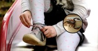 Niña de 5 años muere tras picadura de alacrán en escuela de Hermosillo; el suero antialacrán llegó tarde