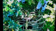 Así es el lugar donde encontraron muerta a Daiana Mendieta