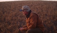 Farmer: Why Do Our Dietary Guidelines Recommend Healthy Vegetables the Least? 