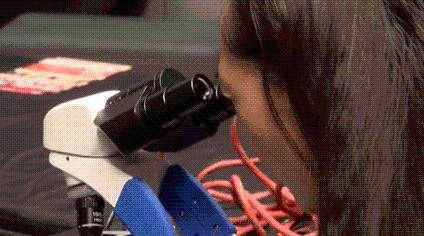 ABQ School of Excellence hosts STEM event