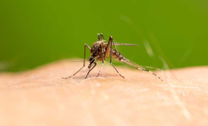 Human case of West Nile virus reported in northern Milwaukee County