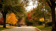 Oklahoma could have muted fall colors. Here’s Why