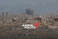 Hamás acepta liberar a rehenes en Gaza bajo propuesta de Trump; pide negociar detalles