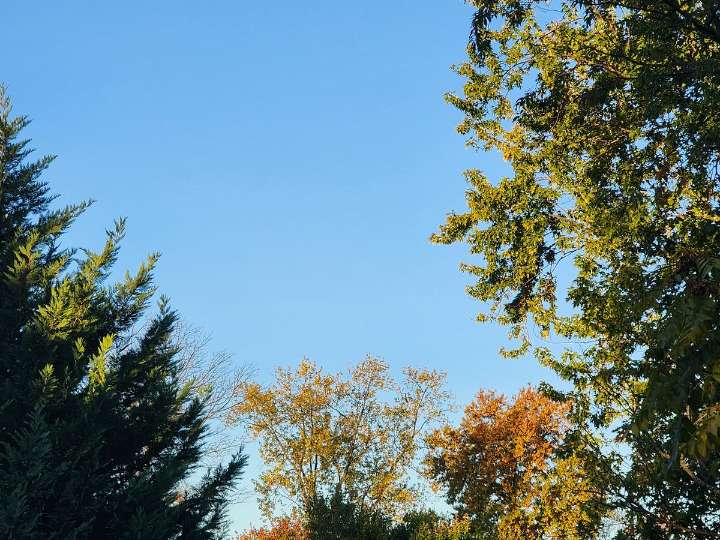 NJ weather: Nice day, wet night, then trending cooler
