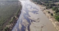 Pemex confirmó la recuperación de 345 mil litros de petróleo tras derrame en río Pantepec y aseguró que continuará con los trabajos de limpieza y remediación