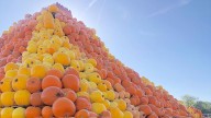 The best pumpkin patches within 2 hours of London you need to visit for Halloween 2025