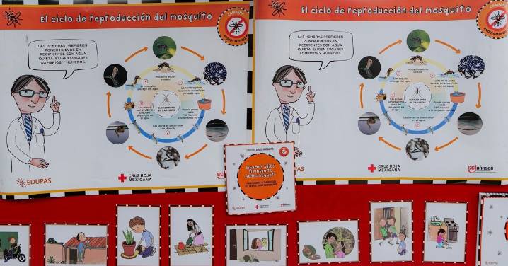 Van 11 mil 815 casos de dengue; decesos llegan a 48, reporta Ssa