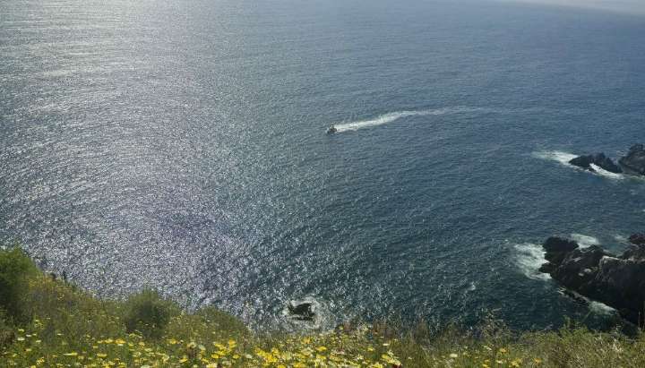 Sin resultados positivos continúa la búsqueda de mariscador desaparecido en sector Los Ventisqueros de Playa Ancha en Valparaíso
