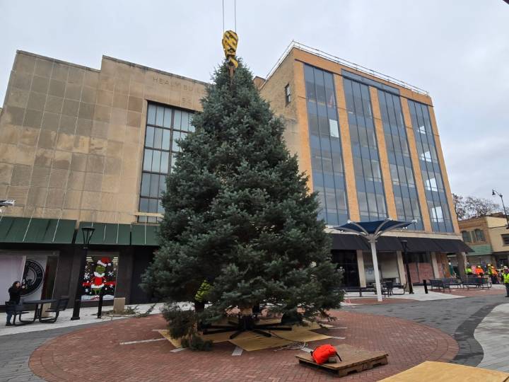 Elgin News Digest