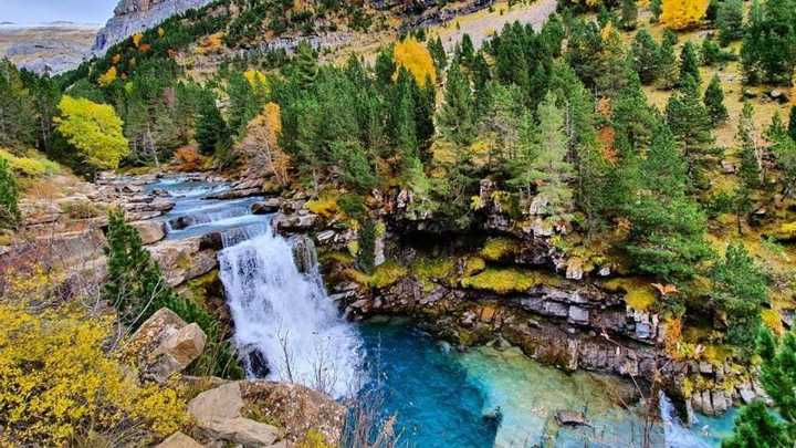 'National Geographic' descubre el bosque mágico de Aragón perfecto para fotografiar en otoño
