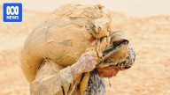 Mapping rare earth supplies and the challenges of turning these minerals into magnets