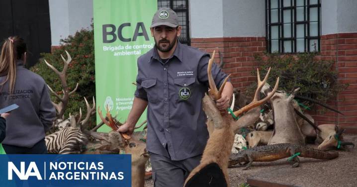 Un argentino que desmanteló una red de caza ilegal y tráfico de fauna recibirá un importante premio mundial