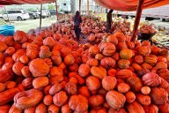 Romería de calabaza y camote continúa en la Central de Abasto de CDMX hasta fin de año