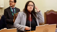 Dipres: "Glosa republicana" es una fracción pequeña del Presupuesto