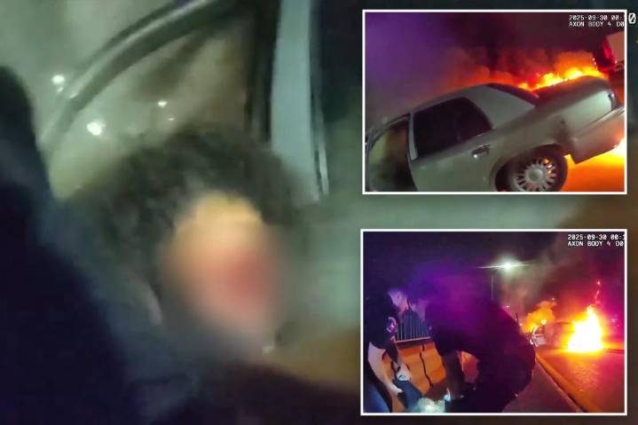 Dramatic video shows cop pull driver from her burning car