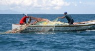 Piden declaratoria de desastre en la pesca por camarón en Nayarit