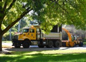 Naperville Offers Three Fall Collection Cycles; Other Options to Clear Leaves