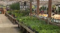 ONE TANK TRIP: Hoen's Garden Center, Queen Bee & Honey Coffee