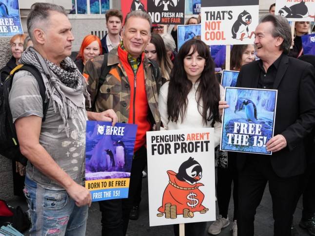Chris Packham says ‘free the penguins’ after 14 years in London aquarium ‘bunker’
