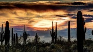 Hermosillo