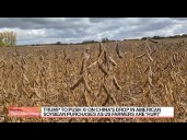 Trump Set to Discuss Soybean Purchases With China's Xi