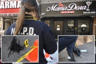 Woman fatally stabbed protecting beau during wild NYC nightclub brawl