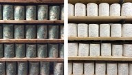Cheese Cave Fungi Help Scientists See Evolution In Real Time