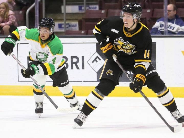 London Knights ride fast start to 6