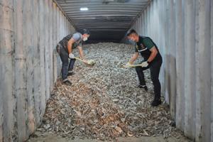 American e-waste is causing a 'hidden tsunami' in Southeast Asia, watchdog report says