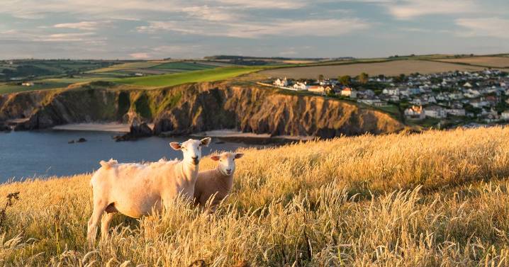 'Picturesque' Devon village with cosy pubs and golden beaches 'feels untouched'