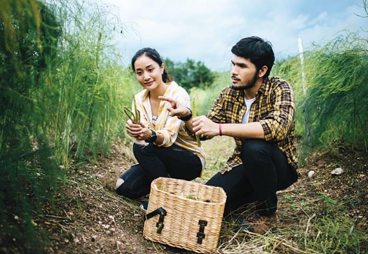 The Era Of ‘Soft Ambition’