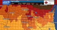 Peak color observed in SE Minnesota, near
