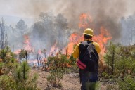 Piden multas millonarias y prisión a quienes provoquen incendios forestales