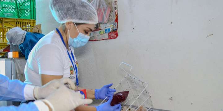 Van 20 restaurantes cerrados en Ibagué por presencia de plagas