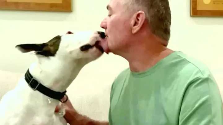 A real Trooper: Abandoned dog left for dead finds new, loving home year after Hurricane Milton