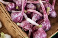 The Best Time to Eat Garlic for Immunity, Heart Health, Inflammation, and Digestion