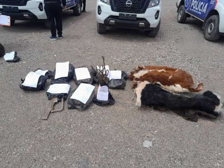 Abigeato en La Rioja: Guandacol fue epicentro del desmantelamiento de una banda