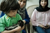 Fearing permanent exile, displaced Palestinians struggle to rebuild their lives in Egypt