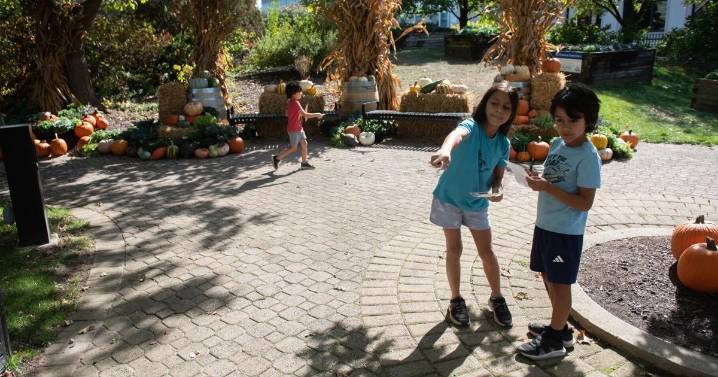 On the pumpkin path at botanical conservatory