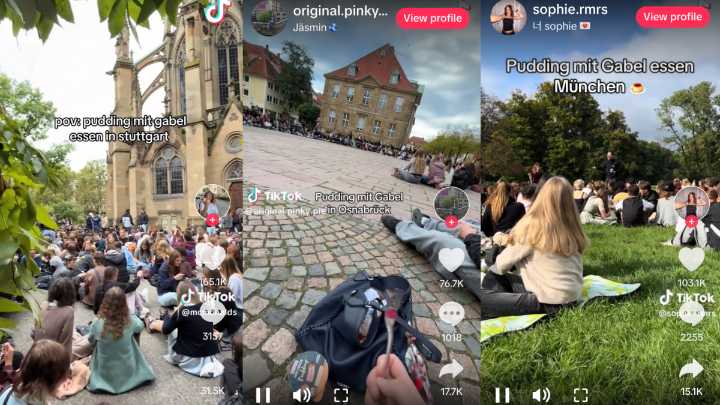 What is 'pudding mit gabel?' German 'pudding with fork' TikTok trend is inspiring IRL meetups