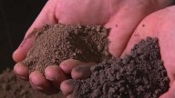 Stockton farmer leads the way in sustainable soil improvement
