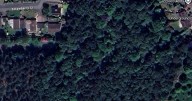 Urgent £1.25m appeal to 'buy and protect' Kent woodland which includes war time bunker