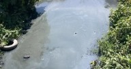 Ecología detecta desechos sólidos en cauce del río Paisanos