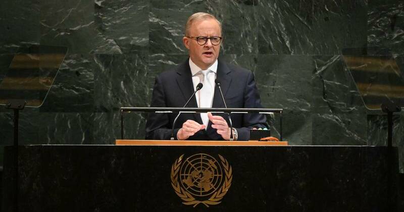 Liberals channel The Castle to slam Labor's Gaza claims