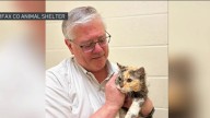Missing Cat is reunited with her family after 15 years